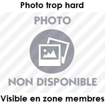 Je suis en manque de baise et je veux me faire prendre d'assaut ma petite cramouille